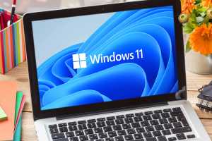 Tiny 11 can shrink Windows 11 24H2 disk space requirement by over 80%